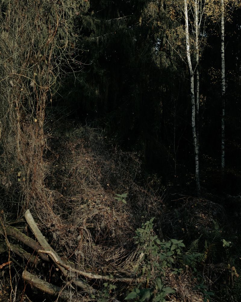 © Ina Königs - Image from the Silent Symphony photography project