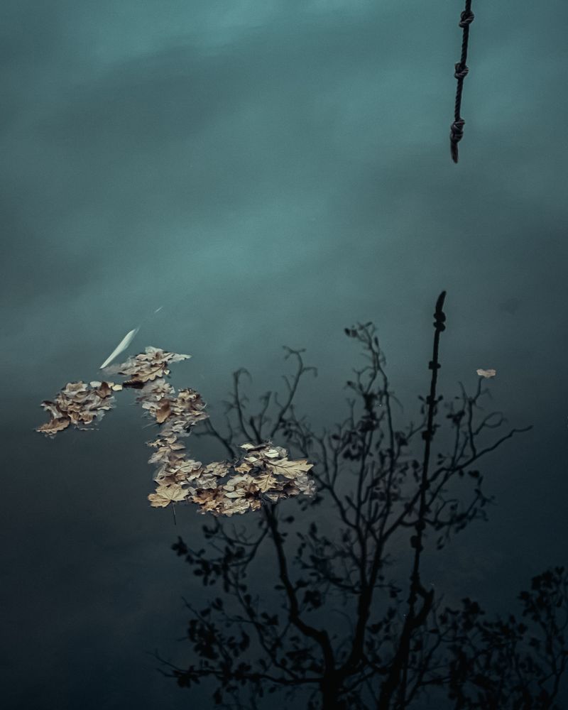 © Ina Königs - Image from the Silent Symphony photography project