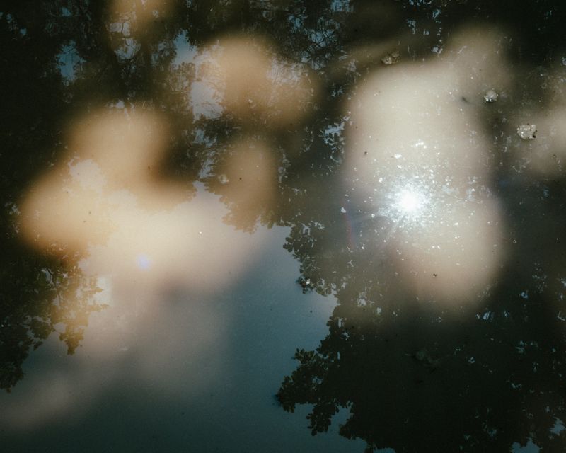 © Ina Königs - Image from the Silent Symphony photography project