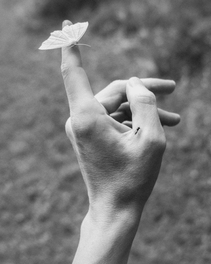 © Ina Königs - Image from the Silent Symphony photography project