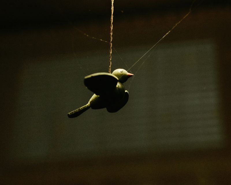 © Ina Königs - Image from the Silent Symphony photography project