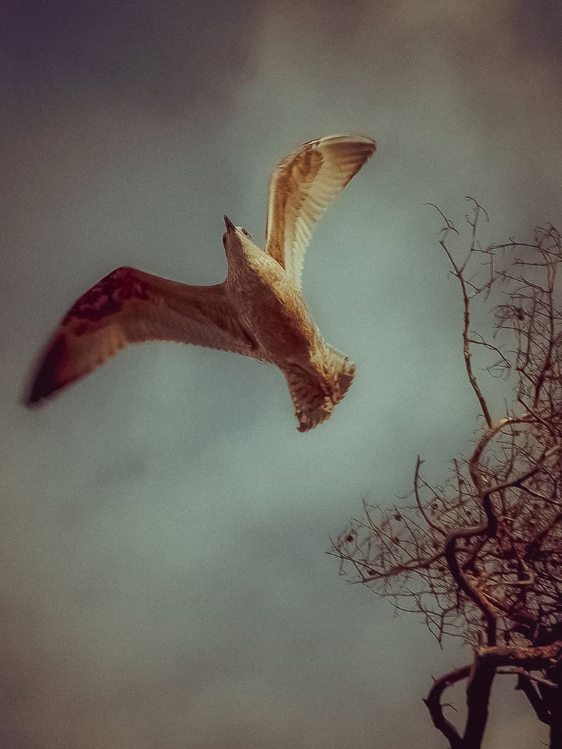 © Ina Königs - Image from the Undine - Between Shores photography project