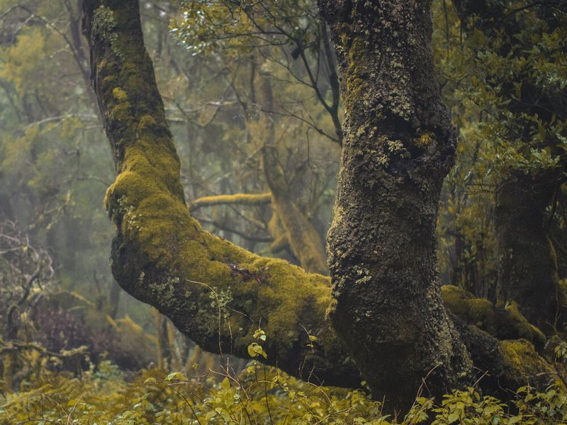 © Ina Königs - Image from the Undine - Between Shores photography project