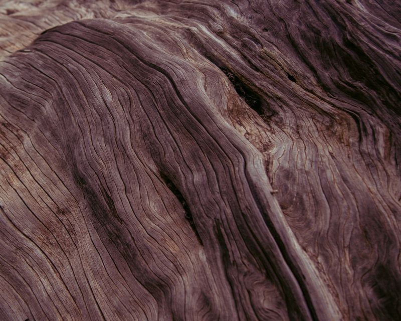 © Ina Königs - Image from the Undine`s search - a timeless story photography project