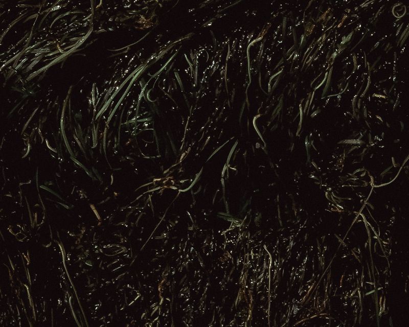 © Ina Königs - Image from the Undine`s search - a timeless story photography project