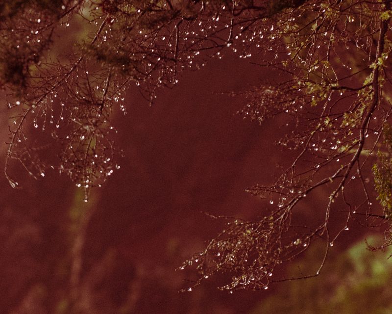 © Ina Königs - Image from the Undine`s search - a timeless story photography project