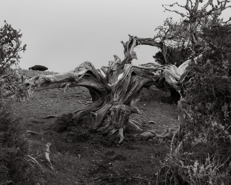 © Ina Königs - Image from the Undine`s search - a timeless story photography project