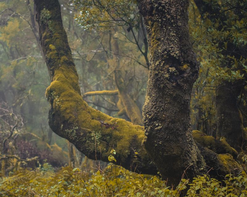 © Ina Königs - Image from the Undine`s search - a timeless story photography project