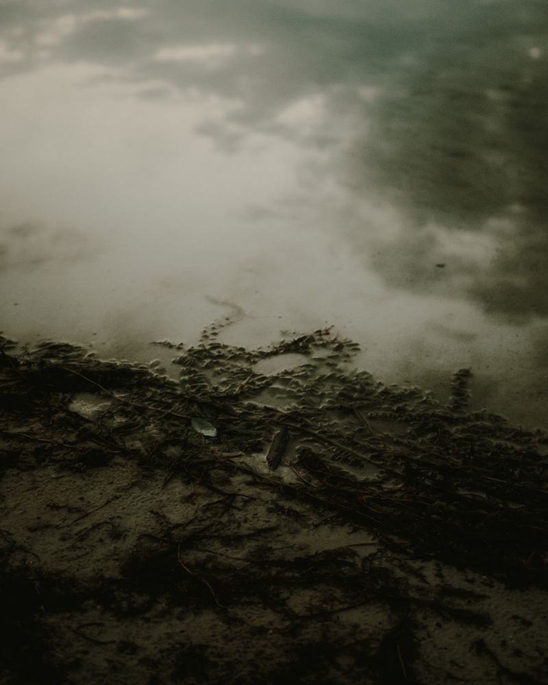 © Ina Königs - Image from the Undine`s search - a timeless story photography project