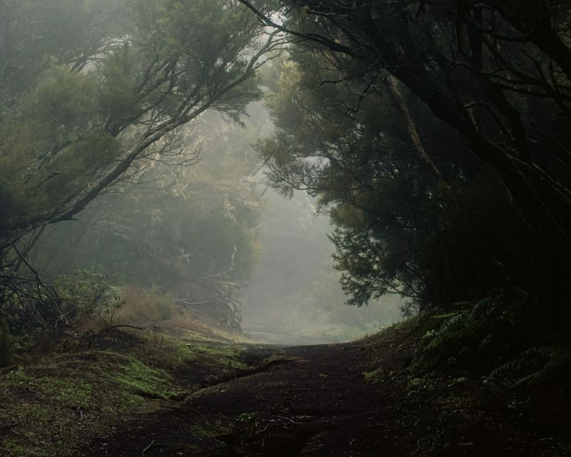 © Ina Königs - Image from the Undine`s search - a timeless story photography project