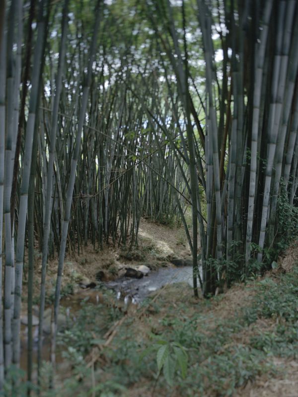 © Yu Fengkai - Image from the Echo photography project