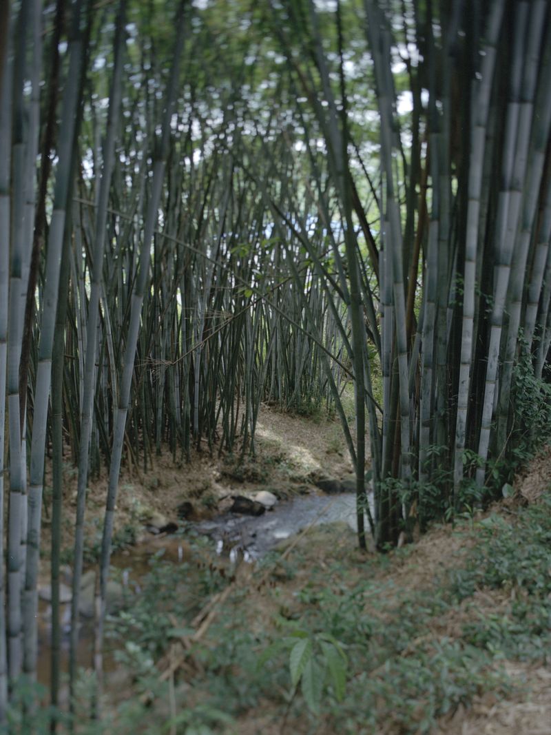 © Yu Fengkai - Image from the Echo photography project