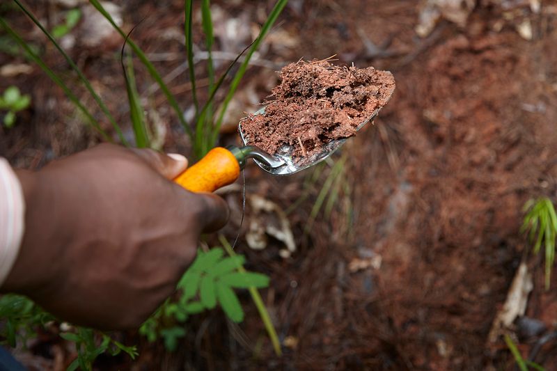 © Richard Ansett - Detail: Soil collection
