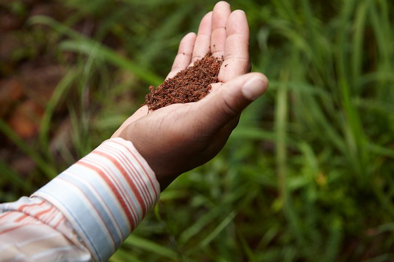 © Richard Ansett - Walter holds the soil in his hand