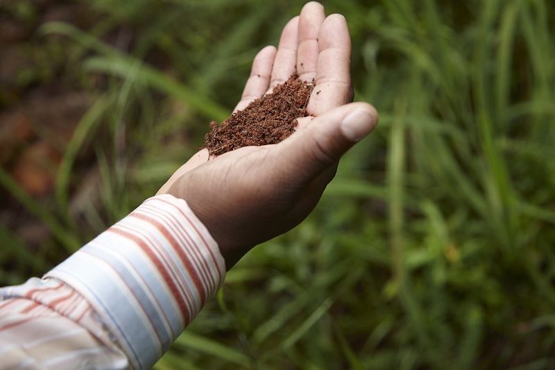 © Richard Ansett - Walter holds the soil in his hand