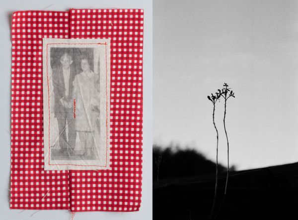 © Viviane Piccoli - Image from the The need to say the impossibility of naming photography project