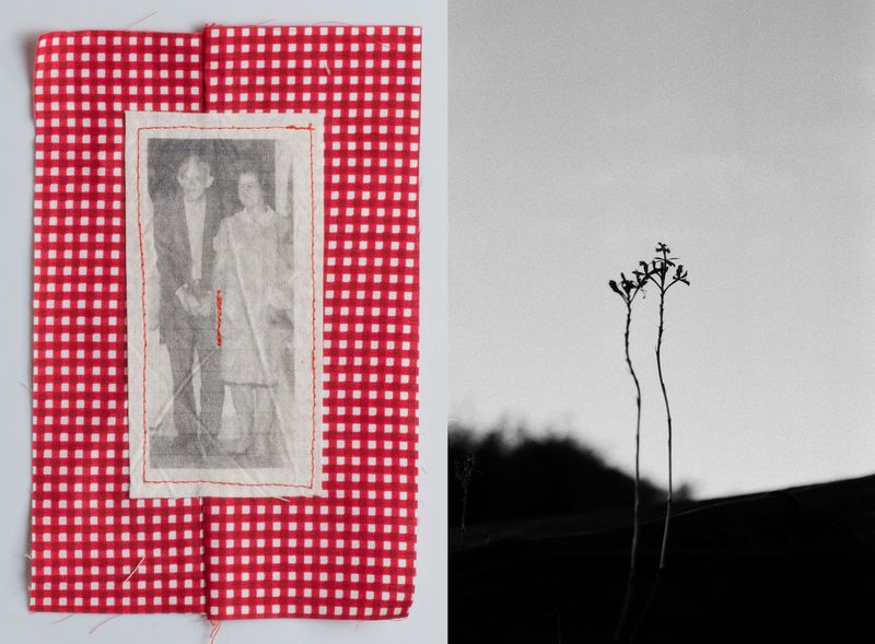 © Viviane Piccoli - Image from the The need to say the impossibility of naming photography project