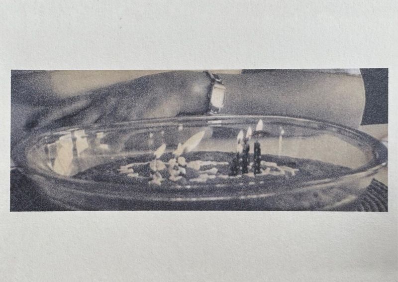 © Saedeh Doost B. - A fragment from a personal photograph belonging to one of the victims of Flight PS752.