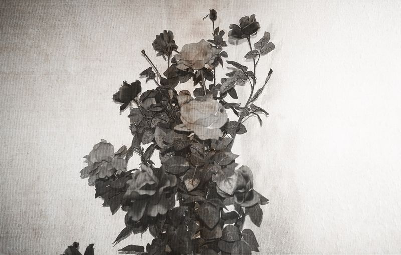 © Saedeh Doost B. - Image from the Encoded Self photography project