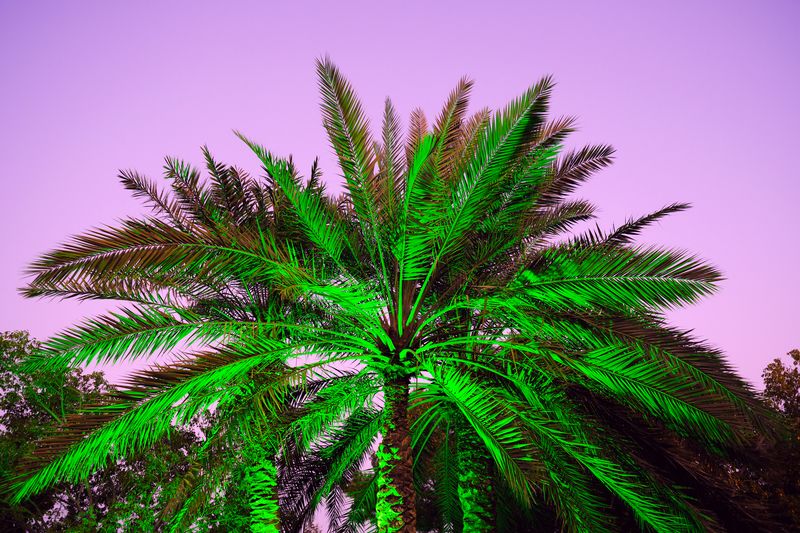 © Sebastien Cuvelier - Image from the Paradise City photography project