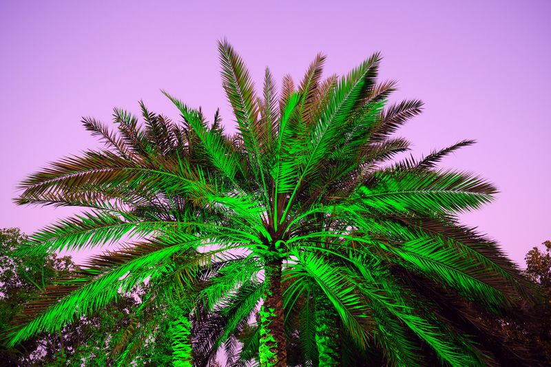 © Sebastien Cuvelier - Image from the Paradise City photography project