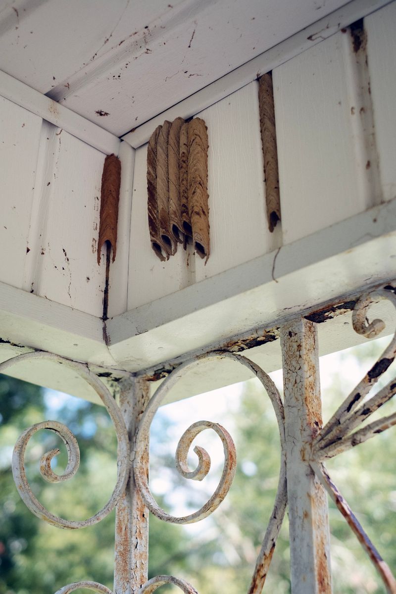 © Sebastien Cuvelier - Image from the A Golden Distance photography project