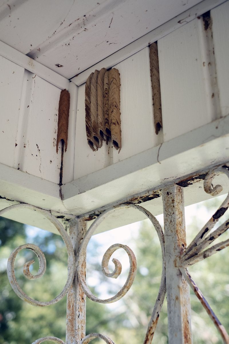 © Sebastien Cuvelier - Image from the A Golden Distance photography project