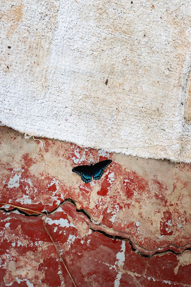 © Sebastien Cuvelier - Image from the A Golden Distance photography project