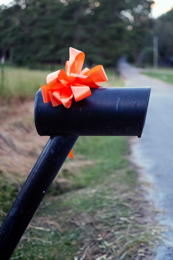 © Sebastien Cuvelier - Image from the A Golden Distance photography project