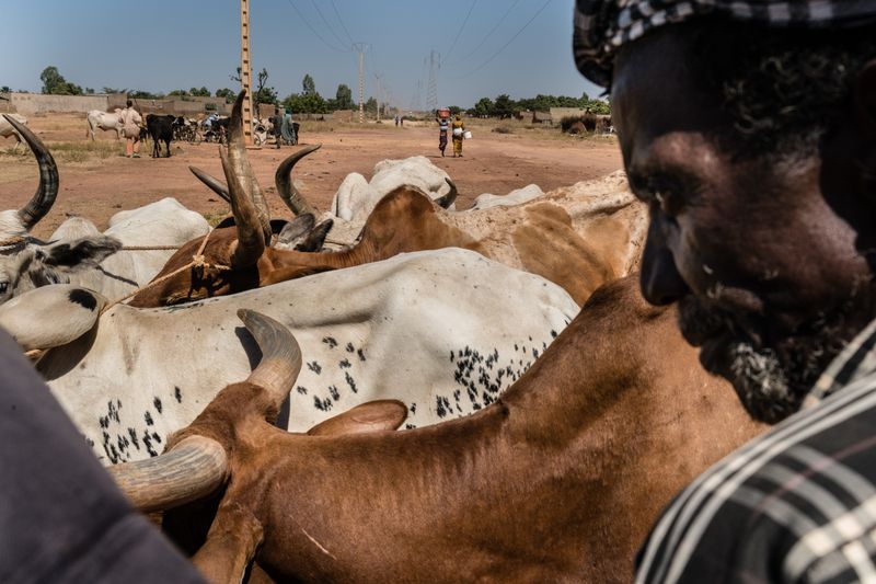 © Kristof Vadino - Image from the Mali Dislocated photography project