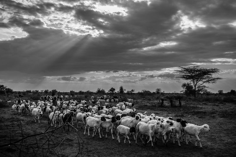 © Kristof Vadino - Image from the Drought photography project