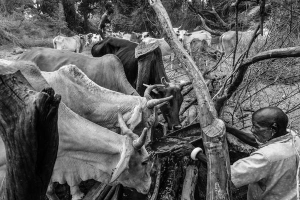 © Kristof Vadino - Image from the Drought photography project