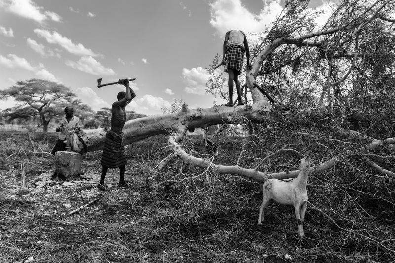 © Kristof Vadino - Image from the Drought photography project