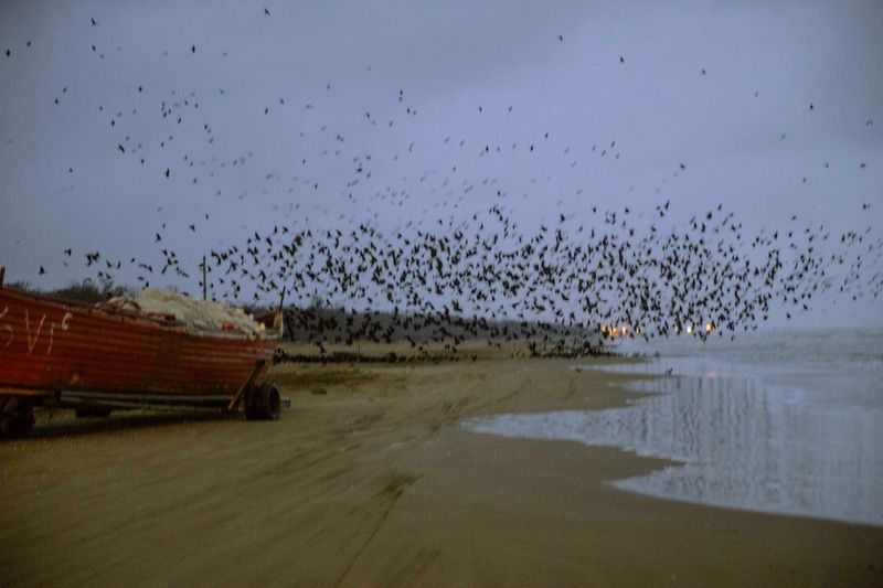 © masoumeh bahrami - Image from the The Tears of Motherland photography project