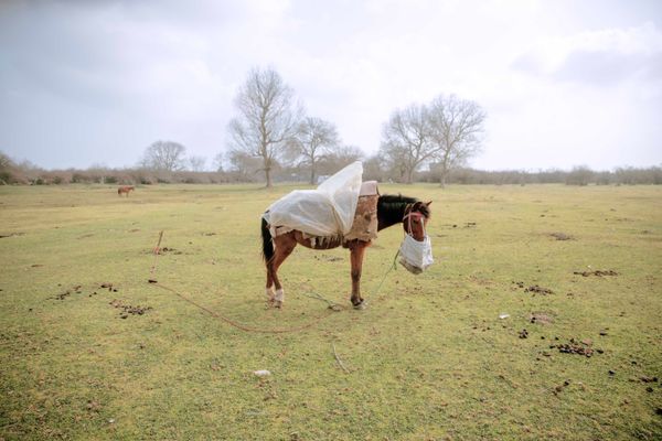 © masoumeh bahrami - Image from the The Tears of Motherland photography project