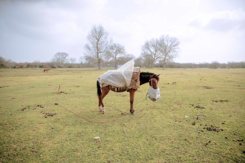 © masoumeh bahrami - Image from the The Tears of Motherland photography project