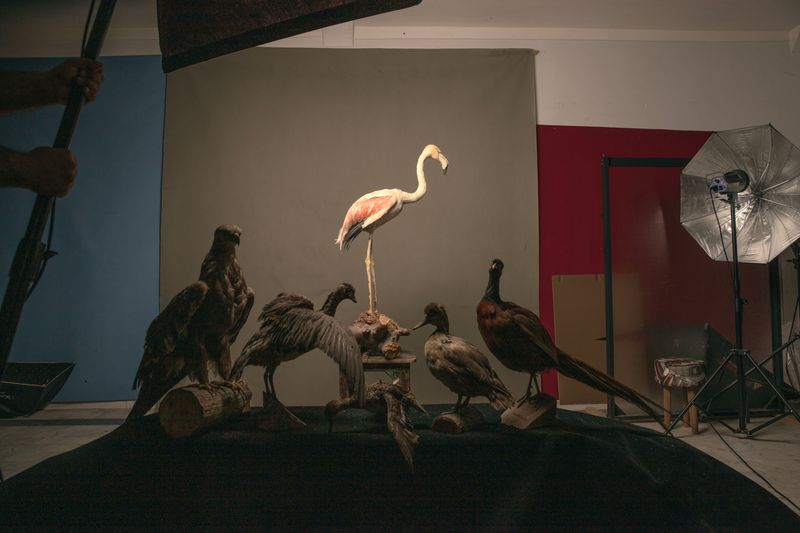 © masoumeh bahrami - Image from the The Tears of Motherland photography project