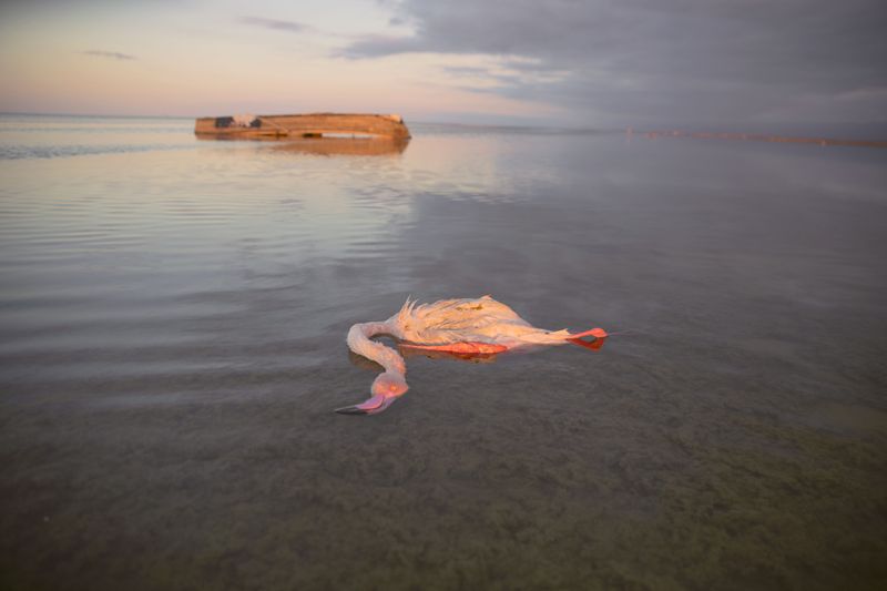 © masoumeh bahrami - Image from the The Tears of Motherland photography project