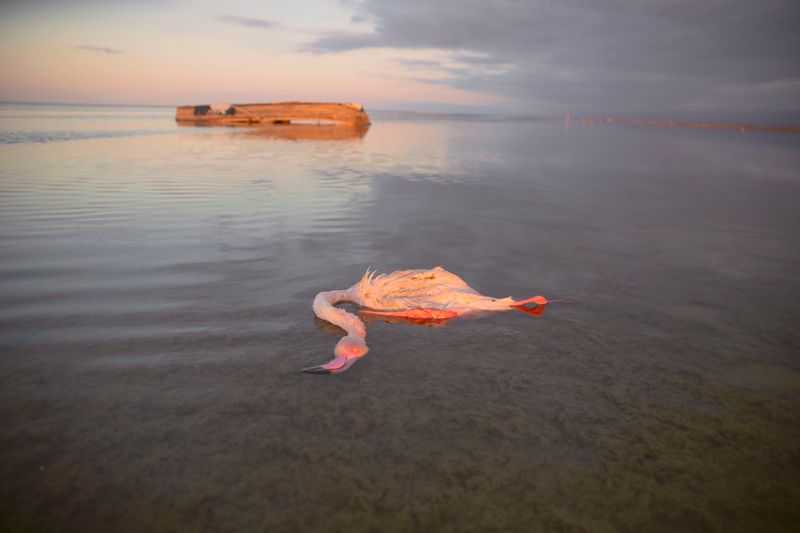 © masoumeh bahrami - Image from the The Tears of Motherland photography project