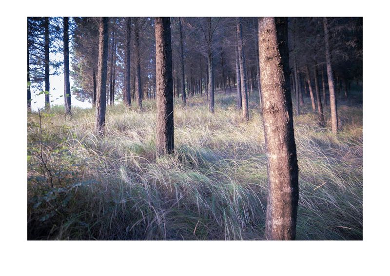 © masoumeh bahrami - Image from the All those nails were too much for my eyes photography project