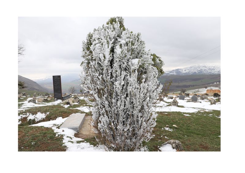 © masoumeh bahrami - Image from the All those nails were too much for my eyes photography project