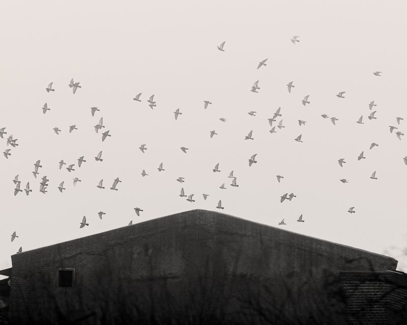 © Javier Arcenillas - Image from the LA GUAREÑA photography project