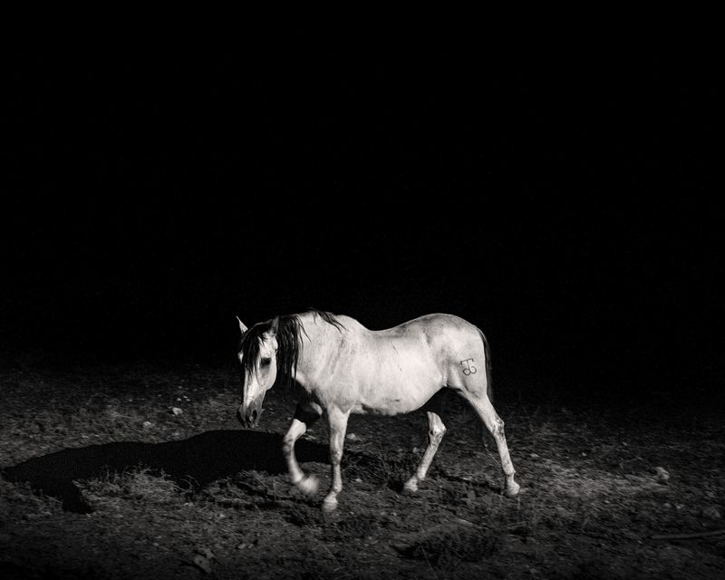 © Javier Arcenillas - Image from the LA GUAREÑA photography project