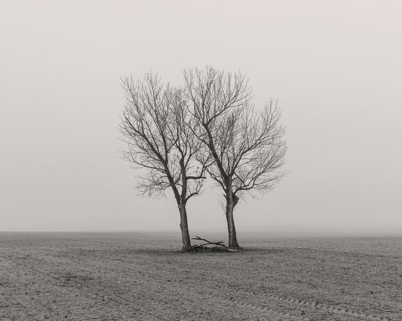 © Javier Arcenillas - Image from the LA GUAREÑA photography project
