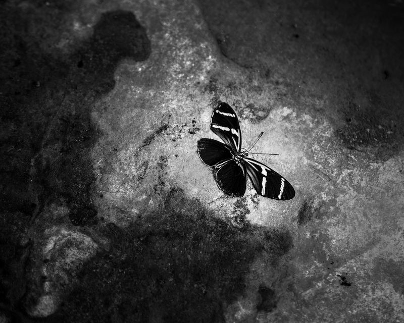 © Javier Arcenillas - Image from the AmA photography project