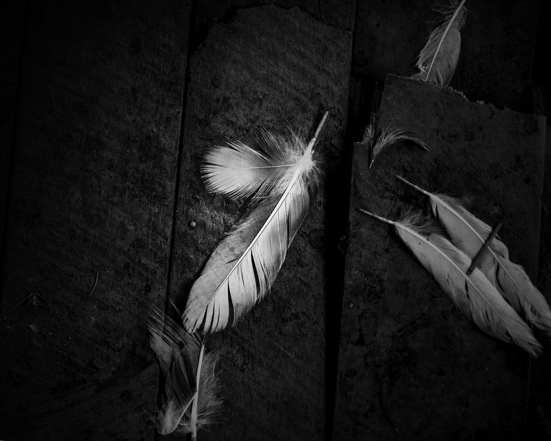 © Javier Arcenillas - Image from the AmA photography project