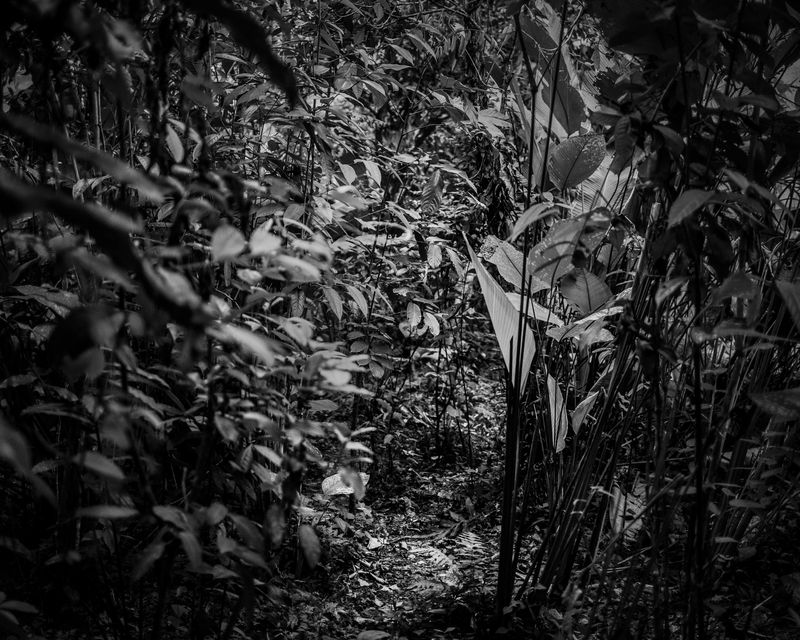 © Javier Arcenillas - Image from the AmA photography project