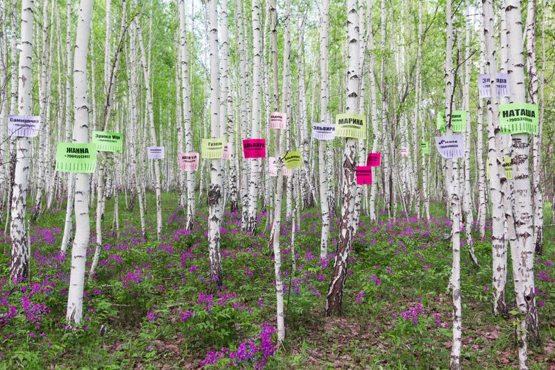 © Yanina Boldyreva - Image from the Birch man photography project