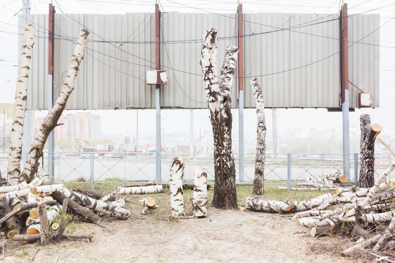 © Yanina Boldyreva - Image from the Birch man photography project