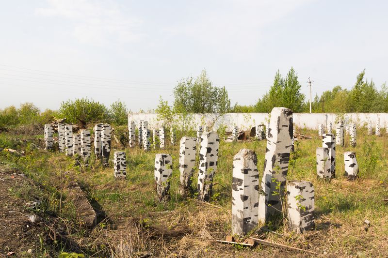 © Yanina Boldyreva - Image from the Birch man photography project